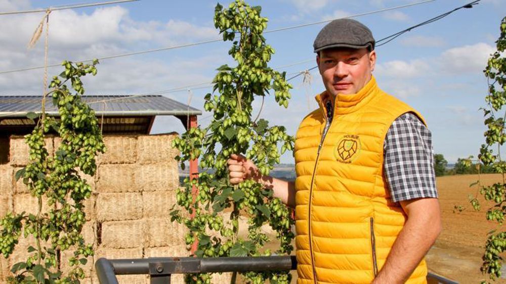« Le houblon, c’est un projet cohérent pour moi. Cela se rapproche de l’arboriculture », souligne David Bernay. © A. Dufumier